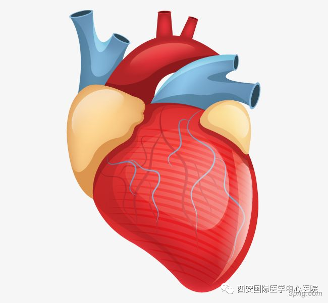 【科普】8個小技巧教你保護(hù)“心”里的“雙拼別墅”
