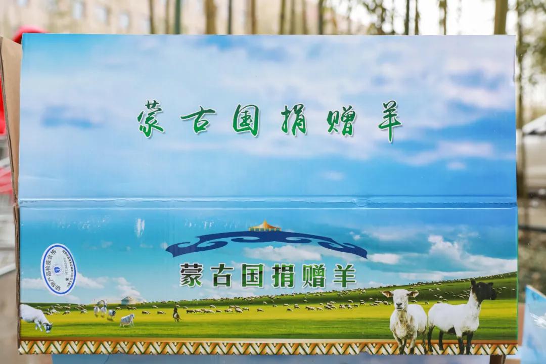 援鄂醫(yī)療隊：“暖羊羊”來啦！