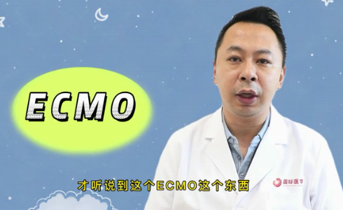 什么是ECMO？