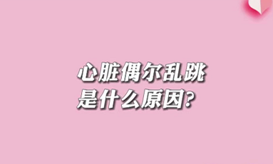 【名醫(yī)面對面之心臟100問】心臟偶爾亂跳是什么原因？