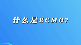 【名醫(yī)面對面之心臟100問】什么是ECMO？