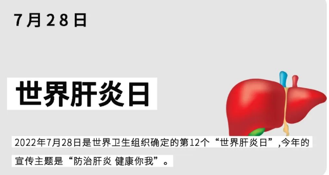 世界肝炎日｜關(guān)于乙肝，你應(yīng)該知道這些