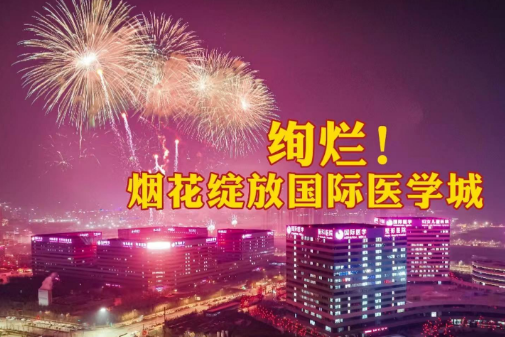 絢爛！煙花綻放國際醫(yī)學(xué)城